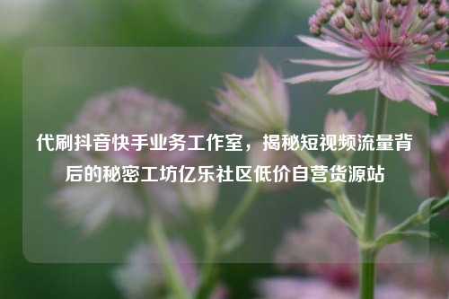 代刷抖音快手业务工作室，揭秘短视频流量背后的秘密工坊亿乐社区低价自营货源站  第1张